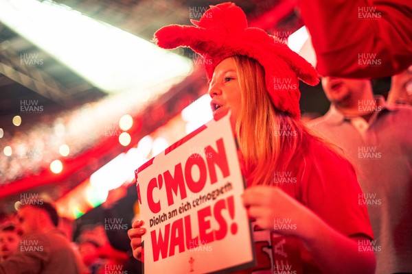 140326 - Wales v Italy - Guinness Six Nations - Fans During the Game