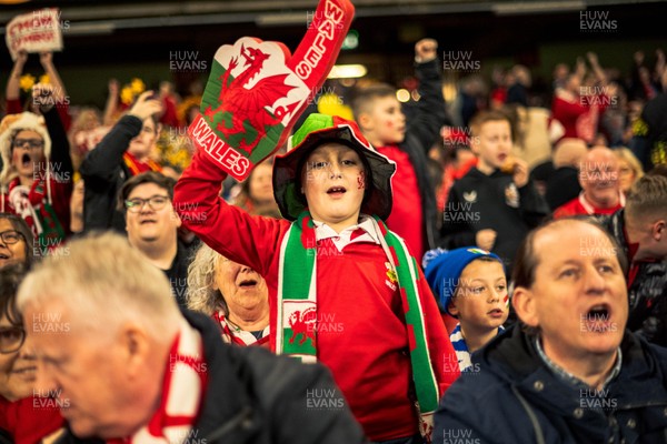 140326 - Wales v Italy - Guinness Six Nations - Fans During the Game
