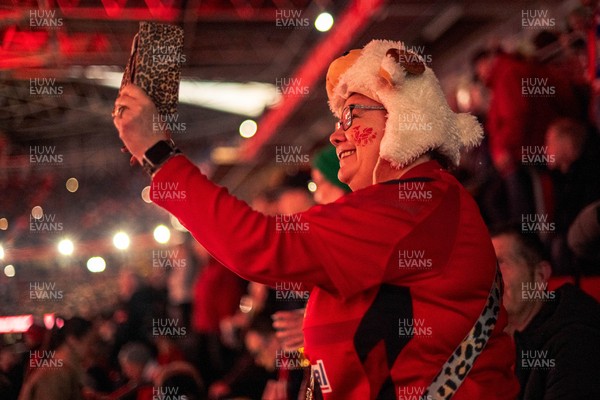 140326 - Wales v Italy - Guinness Six Nations - Fans During the Game