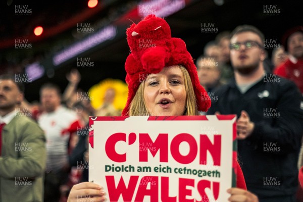 140326 - Wales v Italy - Guinness Six Nations - Fans During the Game