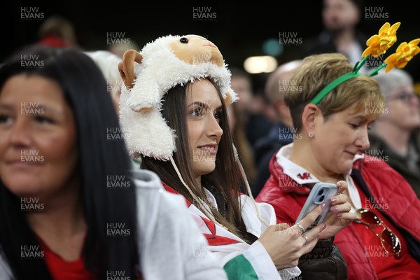 140326 - Wales v Italy - Guinness Six Nations Championship - Fans