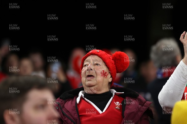 140326 - Wales v Italy - Guinness Six Nations Championship - Fans