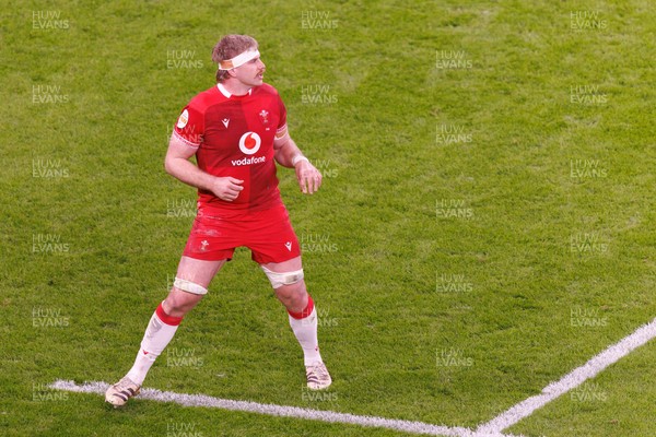 140326 - Wales v Italy - Guinness Six Nations - Aaron Wainwright of Wales