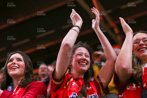 140326 - Wales v Italy - Guinness Six Nations - Wales fans show their support during the match