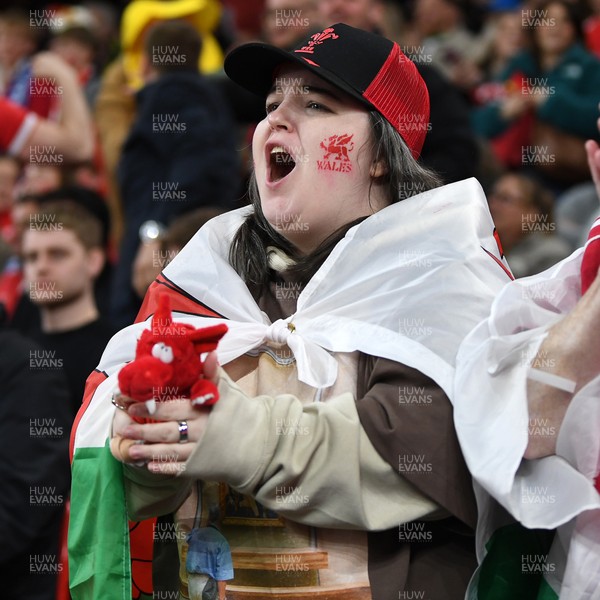 140326 - Wales v Italy - Guinness Men's Six Nations - Wales fans