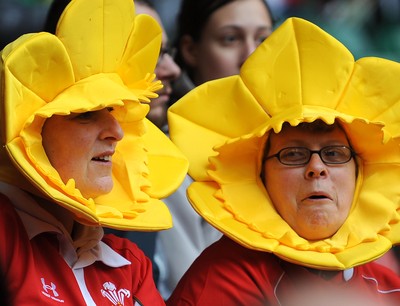 20.03.10 - Six Nations Rugby, Wales v Italy Wales rugby fans 
