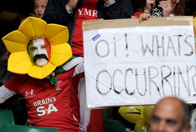 20.03.10 - Six Nations Rugby, Wales v Italy Wales rugby fans 