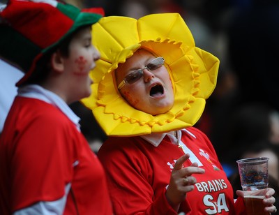 20.03.10 - Six Nations Rugby, Wales v Italy Wales rugby fans 