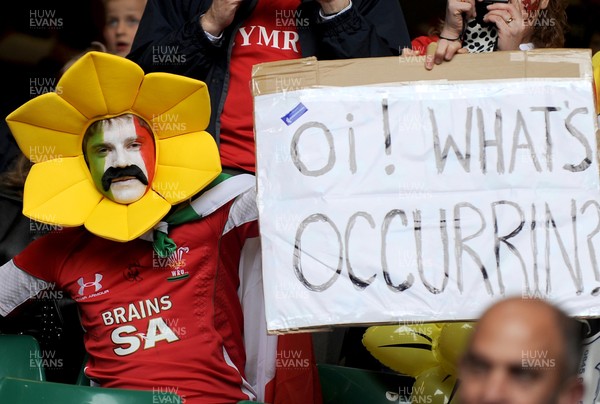 20.03.10 - Six Nations Rugby, Wales v Italy Wales rugby fans 