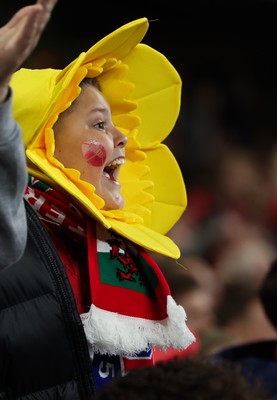 151125 - Wales v Japan, Quilter Nations Series - Wales fans celebrate after the opening try