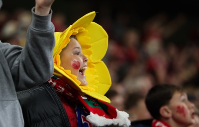 151125 - Wales v Japan, Quilter Nations Series - Wales fans celebrate after the opening try