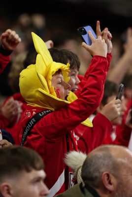 151125 - Wales v Japan, Quilter Nations Series - Wales fans celebrate after the opening try