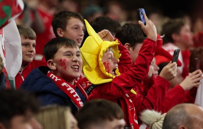 151125 - Wales v Japan, Quilter Nations Series - Wales fans celebrate after the opening try