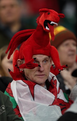 151125 - Wales v Japan, Quilter Nations Series - Wales fans react during the match