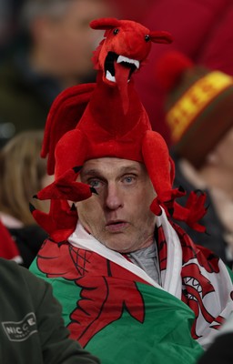 151125 - Wales v Japan, Quilter Nations Series - Wales fans react during the match