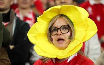 151125 - Wales v Japan, Quilter Nations Series - Wales fans react during the match