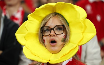 151125 - Wales v Japan, Quilter Nations Series - Wales fans react during the match