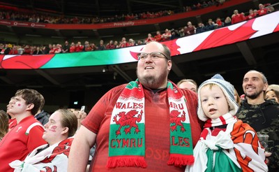 151125 - Wales v Japan, Quilter Nations Series - Wales fans react during the match