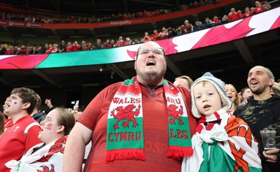 151125 - Wales v Japan, Quilter Nations Series - Wales fans react during the match