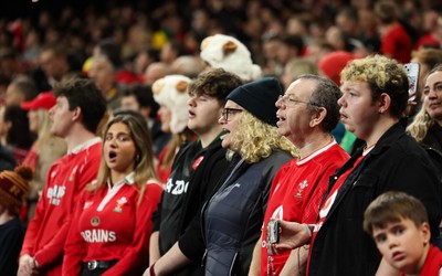 151125 - Wales v Japan, Quilter Nations Series - Wales fans react during the match