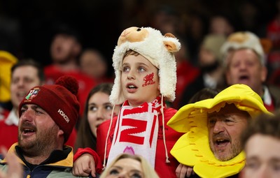 151125 - Wales v Japan, Quilter Nations Series - Wales fans react during the match
