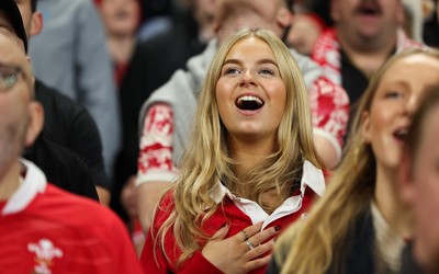 151125 - Wales v Japan, Quilter Nations Series - Wales fans react during the match