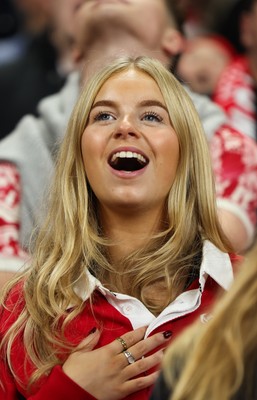 151125 - Wales v Japan, Quilter Nations Series - Wales fans react during the match