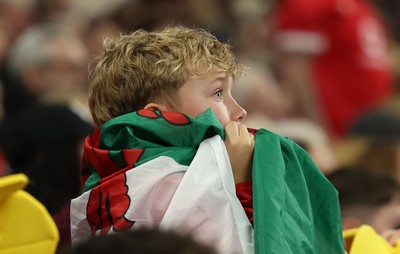 151125 - Wales v Japan, Quilter Nations Series - Wales fans react during the match