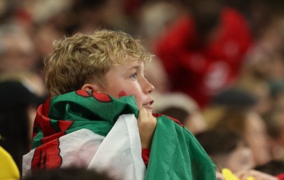 151125 - Wales v Japan, Quilter Nations Series - Wales fans react during the match