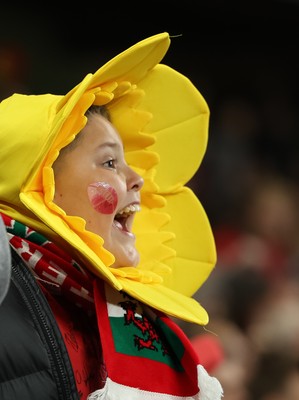 151125 - Wales v Japan, Quilter Nations Series - Wales fans react during the match