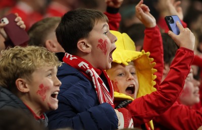 151125 - Wales v Japan, Quilter Nations Series - Wales fans react during the match