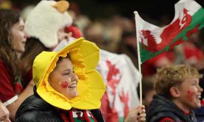 151125 - Wales v Japan, Quilter Nations Series - Wales fans react during the match