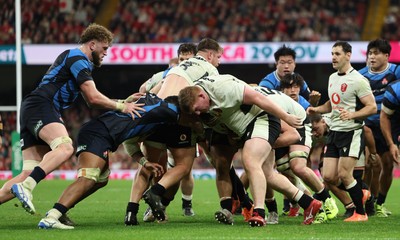 151125 - Wales v Japan, Quilter Nations Series - Wales drive for the line