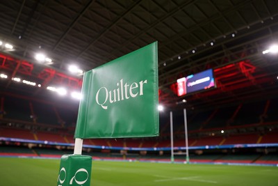 151125 - Wales v Japan - Quilter Nations Series - General View of Principality Stadium before the game