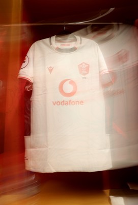 151125 - Wales v Japan - Quilter Nations Series - Wales dressing room before the game