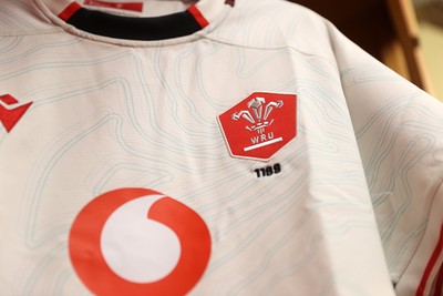 151125 - Wales v Japan - Quilter Nations Series - Wales dressing room before the game
