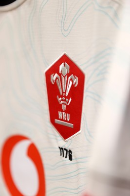 151125 - Wales v Japan - Quilter Nations Series - Wales dressing room before the game