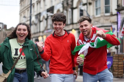 151125 - Wales v Japan - Quilter Nations Series - Fans outside the stadium