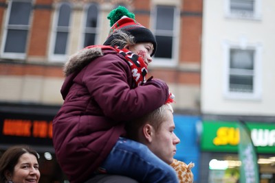 151125 - Wales v Japan - Quilter Nations Series - Fans outside the stadium