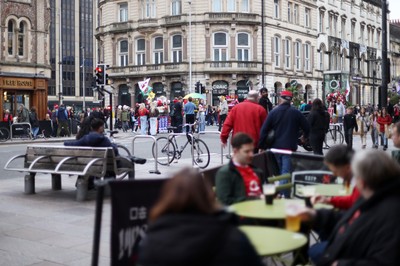 151125 - Wales v Japan - Quilter Nations Series - Fans outside the stadium