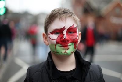 151125 - Wales v Japan - Quilter Nations Series - Fans outside the stadium