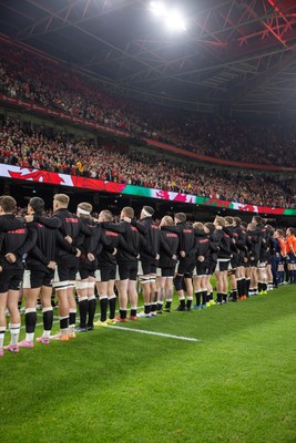 151125 - Wales v Japan - Quilter Nations Series - Wales during the anthem