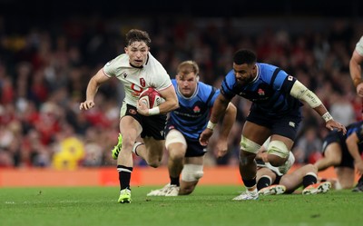 151125 - Wales v Japan - Quilter Nations Series - Dan Edwards of Wales 