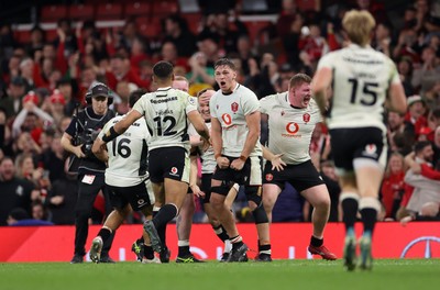 151125 - Wales v Japan - Quilter Nations Series - Jarrod Evans of Wales celebrates kicking the match winning penalty with team mates