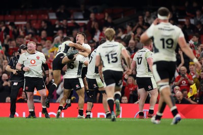 151125 - Wales v Japan - Quilter Nations Series - Jarrod Evans of Wales celebrates kicking the match winning penalty with team mates