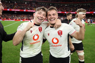 151125 - Wales v Japan - Quilter Nations Series - Dan Edwards and Jarrod Evans of Wales celebrate at full time