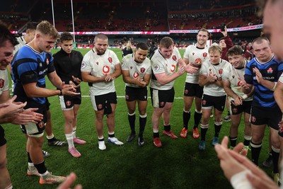 151125 - Wales v Japan - Quilter Nations Series - Wales team huddle at full time