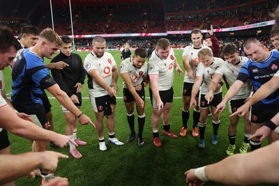151125 - Wales v Japan - Quilter Nations Series - Wales team huddle at full time