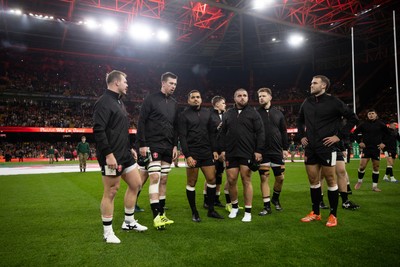 151125 - Wales v Japan - Quilter Nations Series - Wales before the anthem