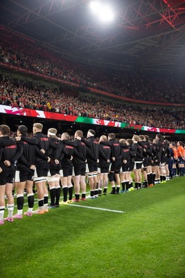 151125 - Wales v Japan - Quilter Nations Series - Wales sing the anthem